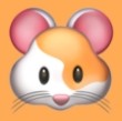 →糖果直播APP应用